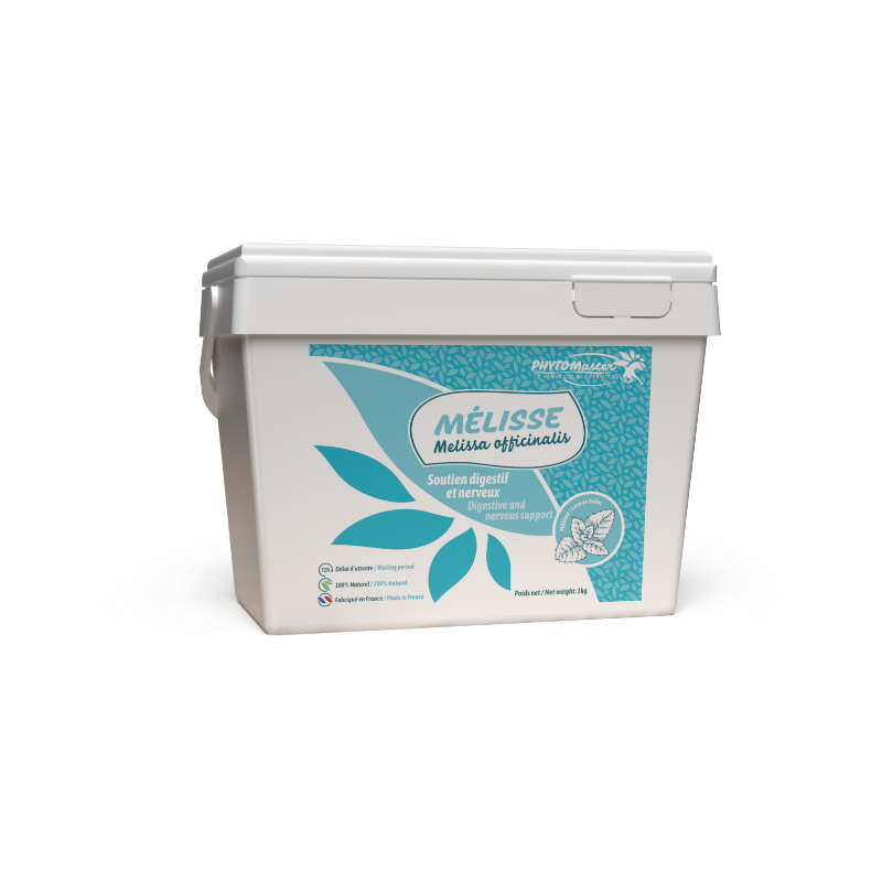 PhytoMaster - Complément alimentaire soutien digestif et nerveux Mélisse