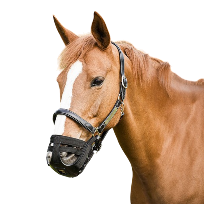 Norton - Panier muselière noir | - Ohlala