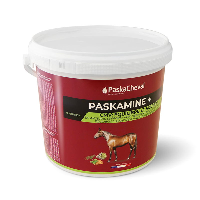 Paskacheval - Complément alimentaire performance Paskamine | - Ohlala