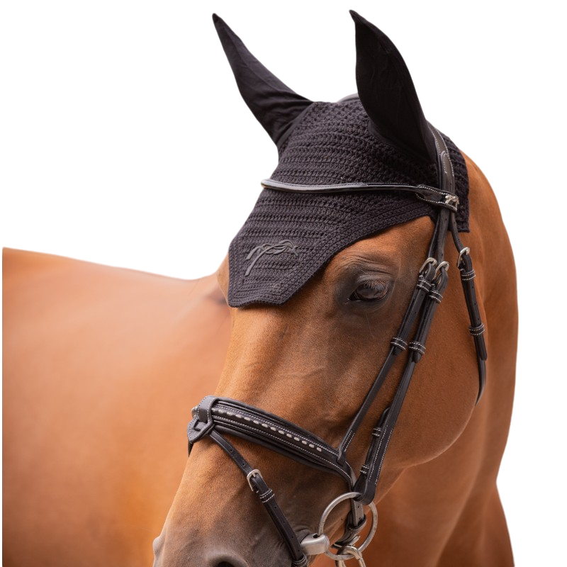 Pénélope - Bonnet pour chevaux coton noir | - Ohlala