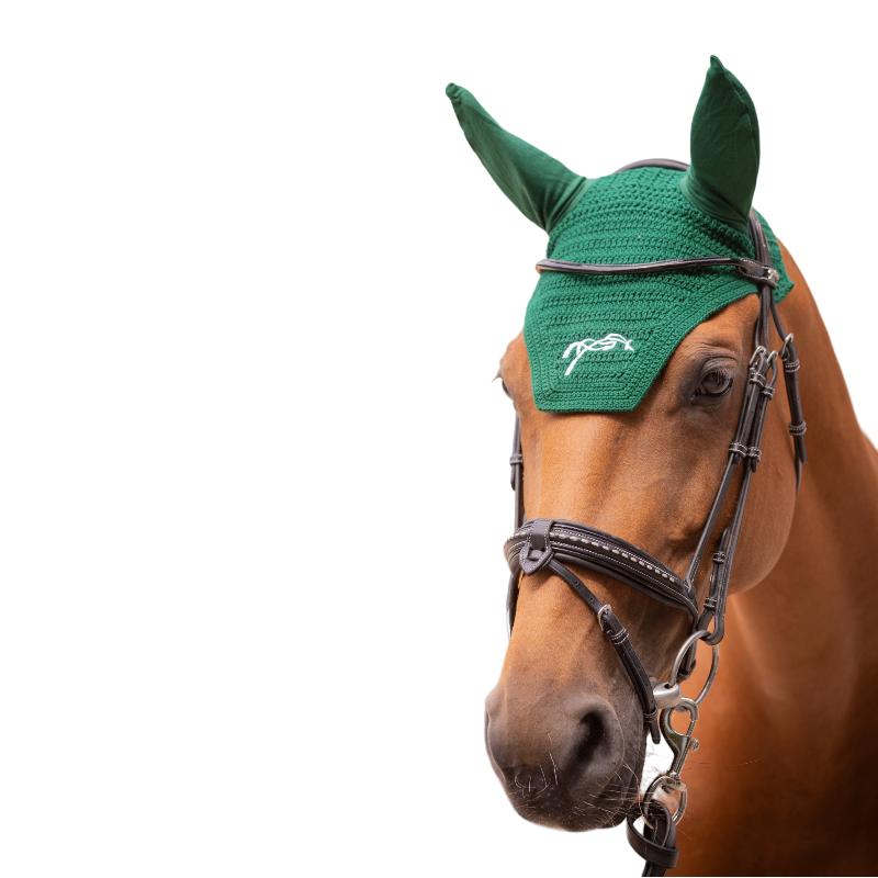Pénélope - Bonnet pour chevaux coton vert foncé | - Ohlala