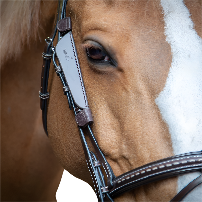 Pénélope - Oeillères Blinkers havane | - Ohlala