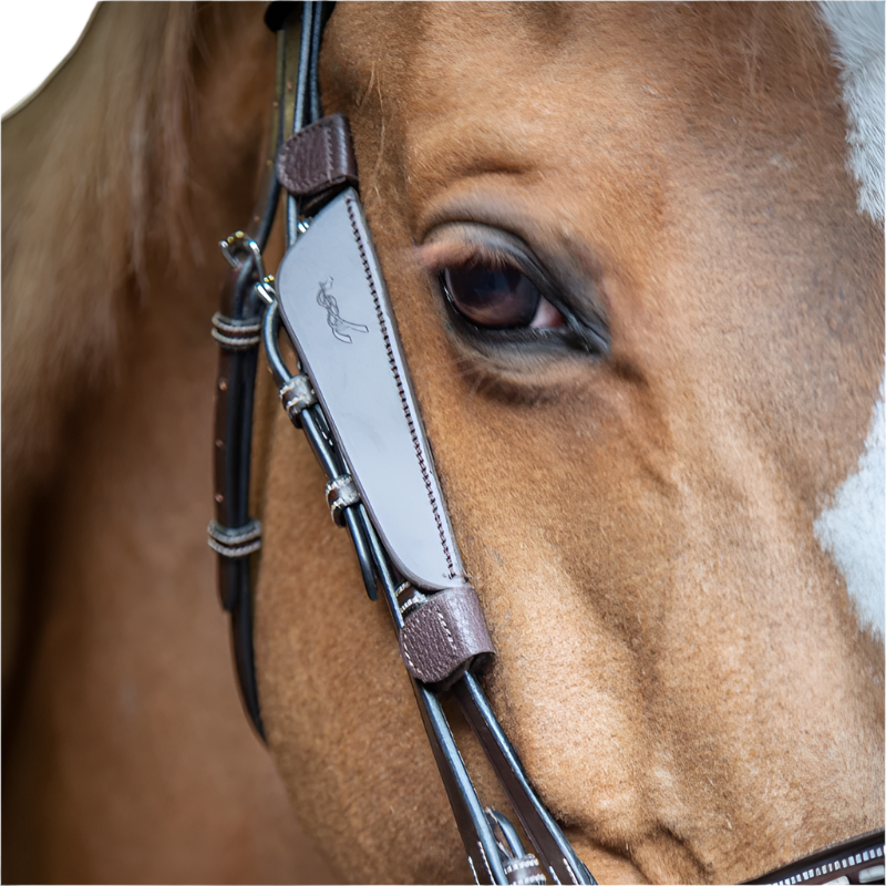 Pénélope - Oeillères Blinkers havane | - Ohlala