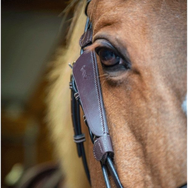 Pénélope - Oeillères Blinkers havane | - Ohlala