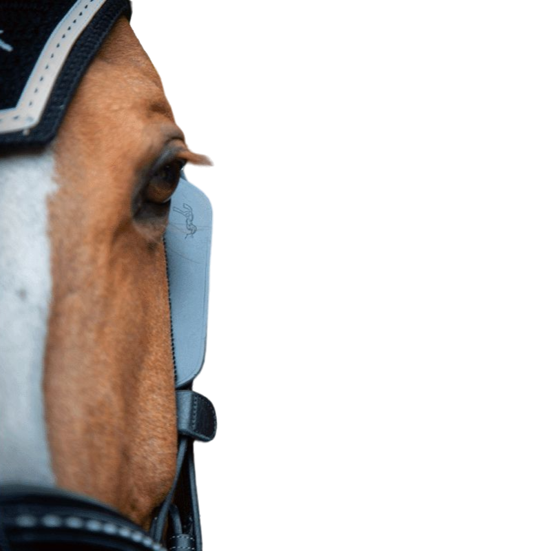 Pénélope - Oeillères Blinkers noir (x2) | - Ohlala