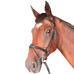 Privilege Equitation - Cabourg combineerd trenshoofdstel met zwarte teugels | - Ohlala