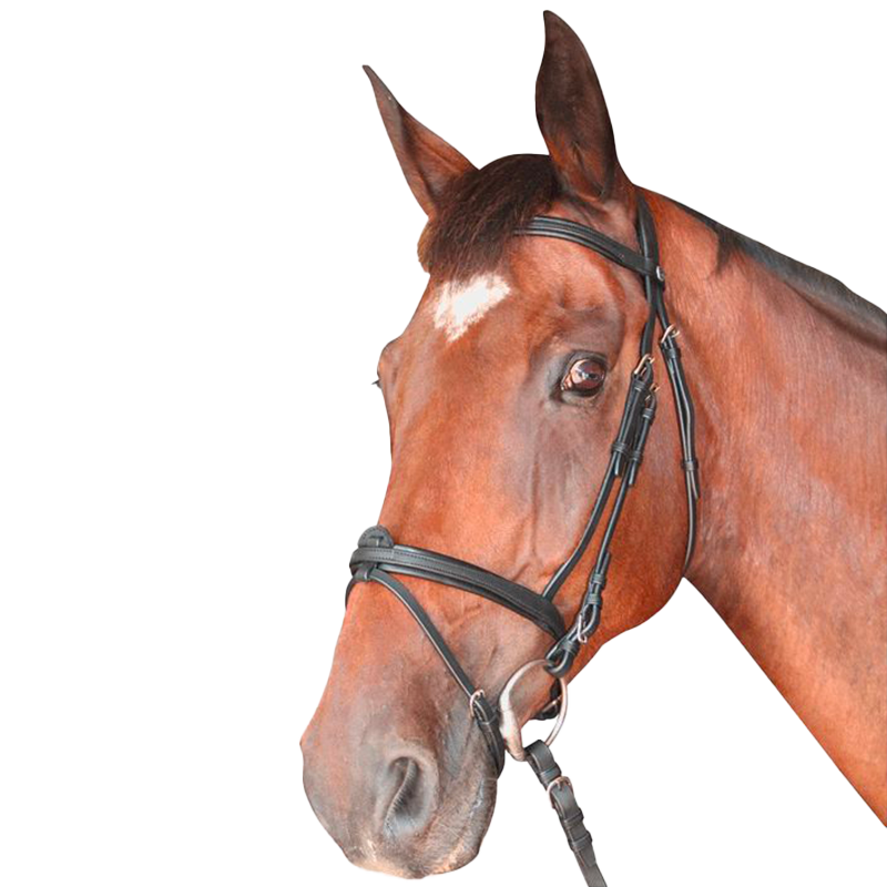 Privilege Equitation - Bridon Cabourg combiné avec rênes noir