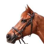 Privilege Equitation - Grandville combineerd trenshoofdstel met bruine teugels | - Ohlala