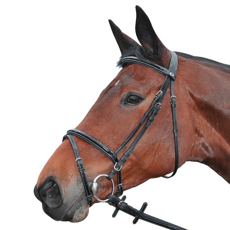 Privilege Equitation - Bridon Nice combiné avec rênes noir