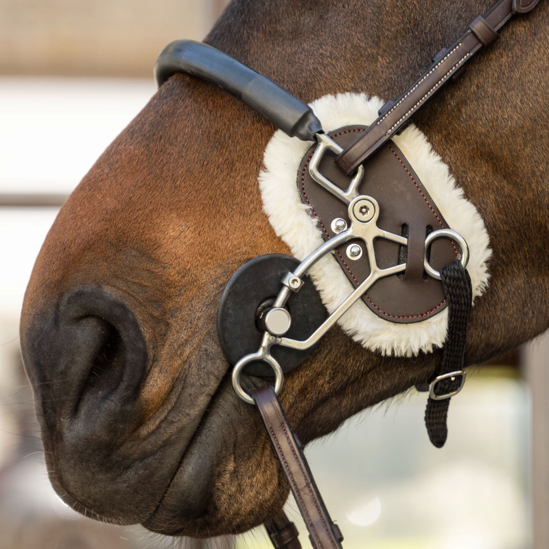 Protection d'hackamore marron - Dyon