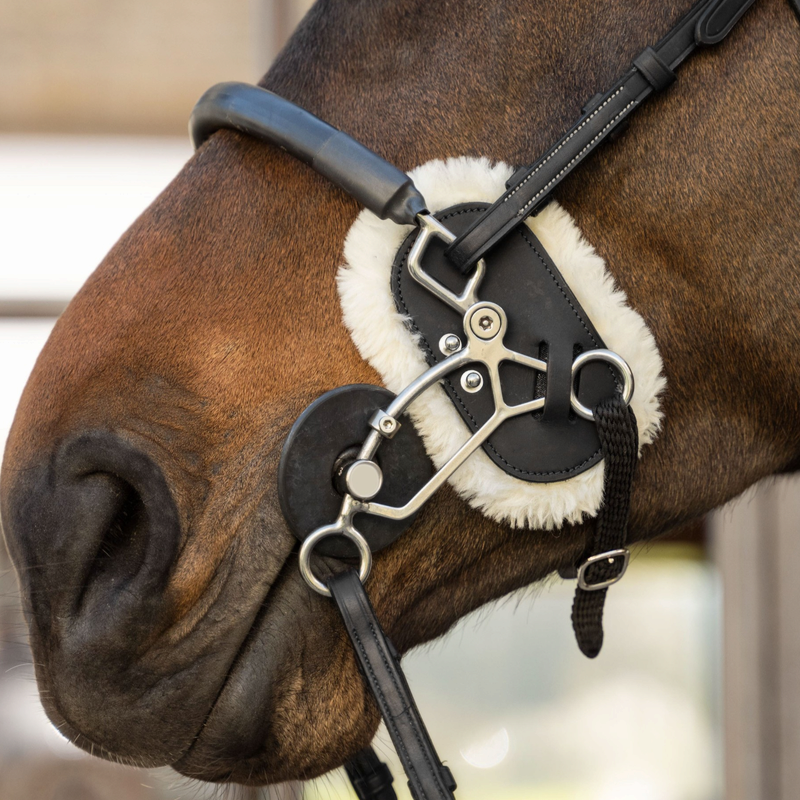 Protection d'hackamore noir - Dyon