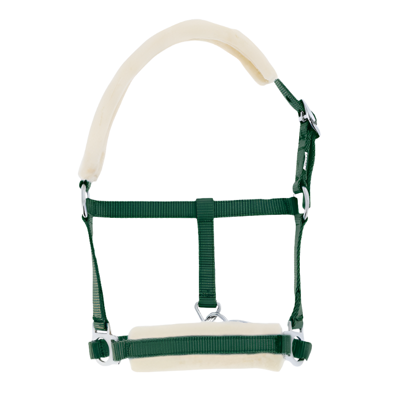 Riding World - Licol foal synthétique Mouton vert foncé | - Ohlala