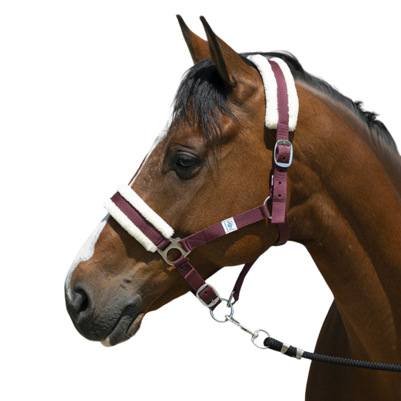 Riding World - Licol mouton synthétique bordeaux | - Ohlala