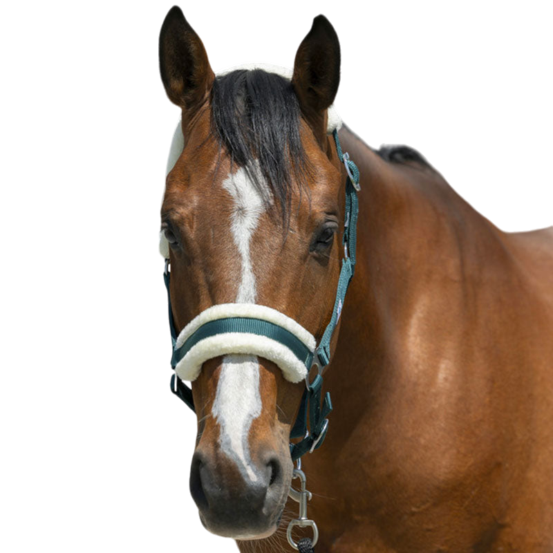Licol Cheval Arctique - Fourrure Synthétique Douce - Noir - Taille Cob - Pour Chevaux Sensibles Ou Transport