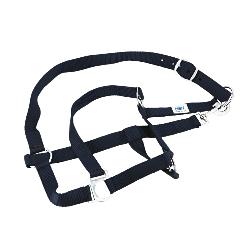 Riding World - Set complet licol, bandes de polo et couverture marine | - Ohlala