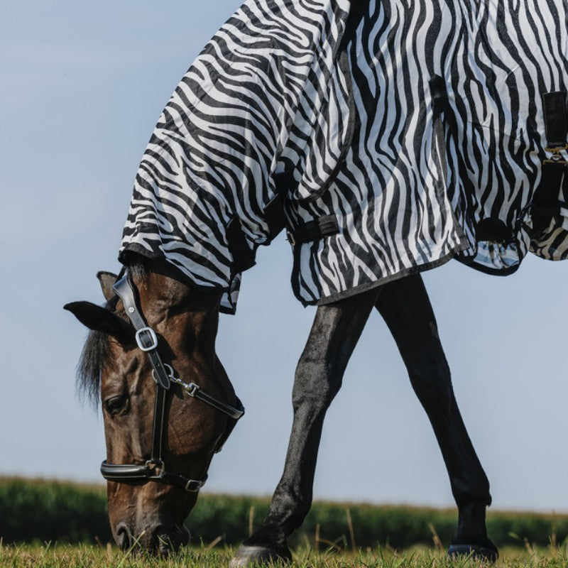 Riding World - Chemise anti-mouches mesh Combo Belly zebre
