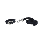 Riding World - Collier pour chien Oscar avec laisse marine | - Ohlala
