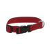 Riding World - Halsband voor hond Pat rood | - Ohlala