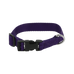 Riding World - Halsband voor hond Pat paars | - Ohlala