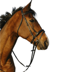 Riding World - Dubbel combinatiehoofdstel zwart | - Ohlala