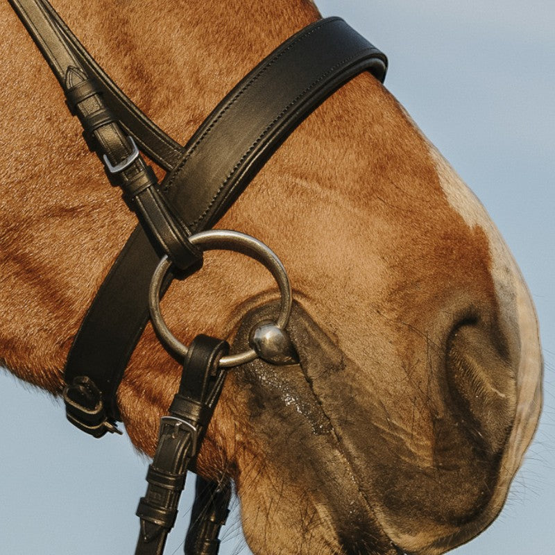 Riding World - Bridon muserolle large noir | - Ohlala