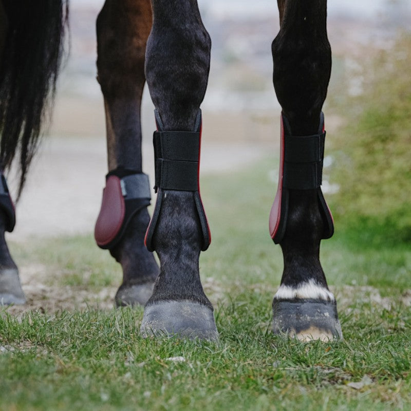 Riding World - Guêtres protège-tendons bordeaux | - Ohlala
