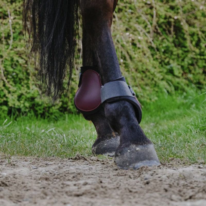 Riding World - Protège-boulets bordeaux | - Ohlala