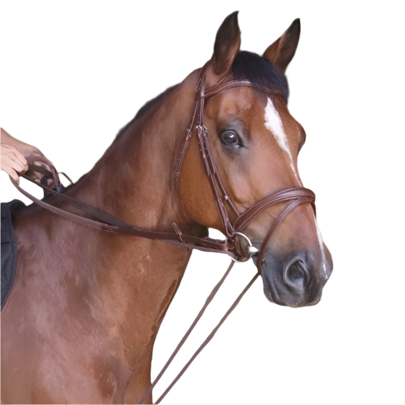 Norton - Rênes allemande cuir/corde havane | - Ohlala