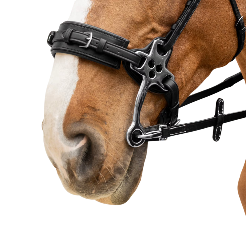 Dyon - Rênes caoutchouc 5/8 avec arrêtoirs et mousqueton Working noir