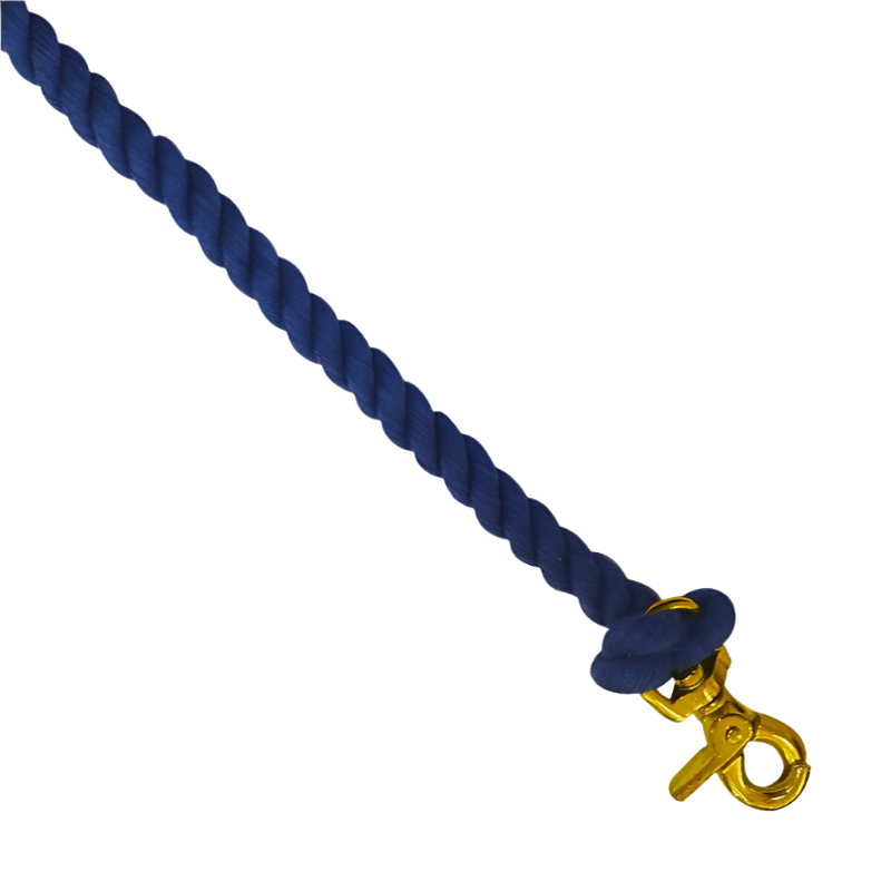 Norton - Rênes coton torsadé de pony games bleu roi