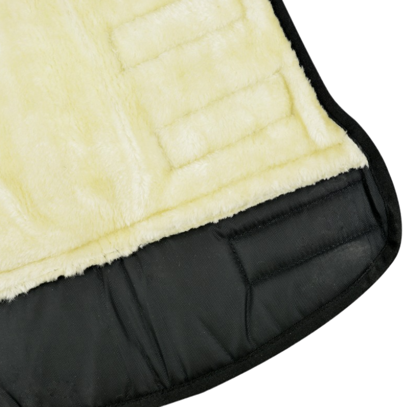 Riding World - Guêtres de transport basses noir x4 | - Ohlala