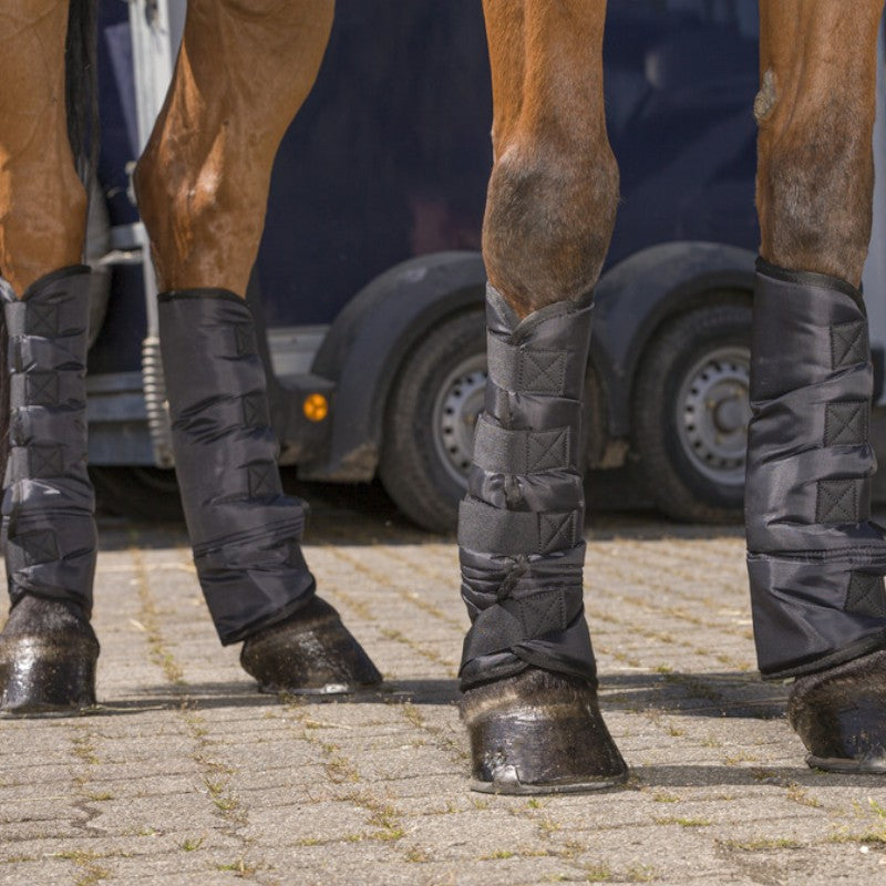 Riding World - Guêtres de transport basses noir x4 | - Ohlala