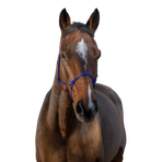 Riding World - Licol éthologique corde fin bleu roi | - Ohlala