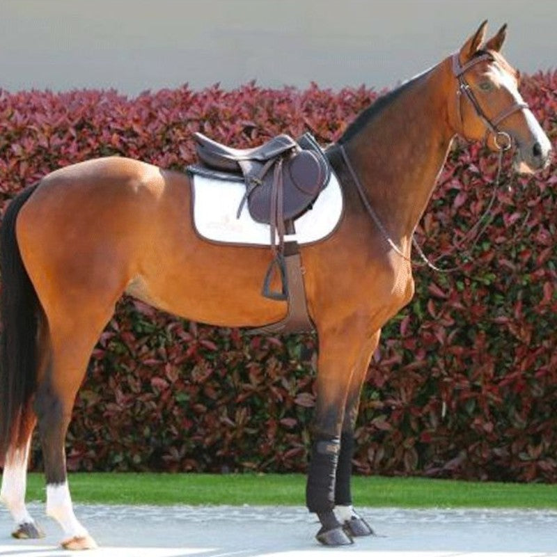 Kentucky Horsewear - Sangle bavette marron | - Ohlala
