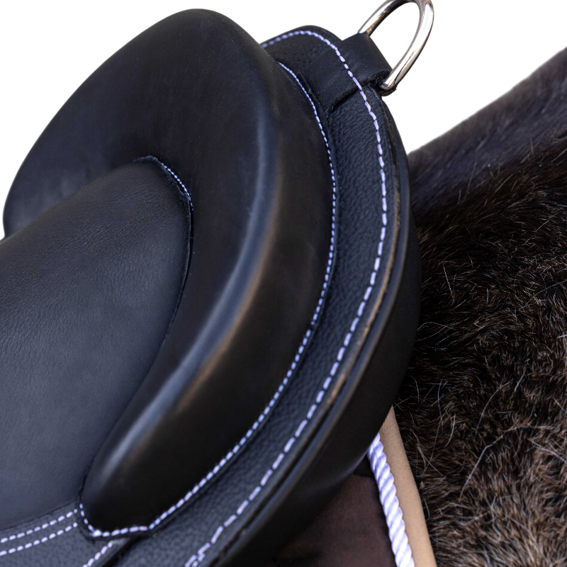 Guy Cantin - Selle éducative Evolution Jumping noir