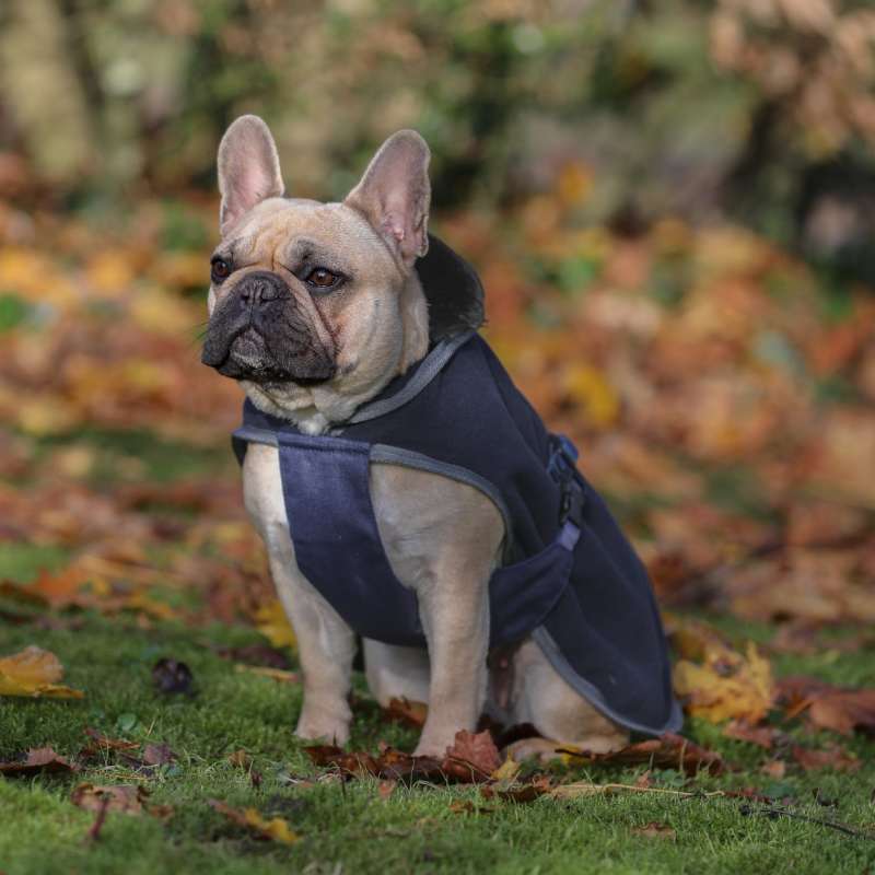 Bucas - Couverture pour chien Show line marine/ gris