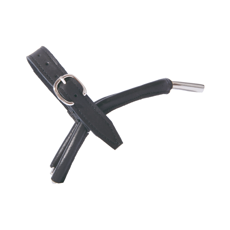 TdeT - Éperons Prince de galles cuir junior | - Ohlala