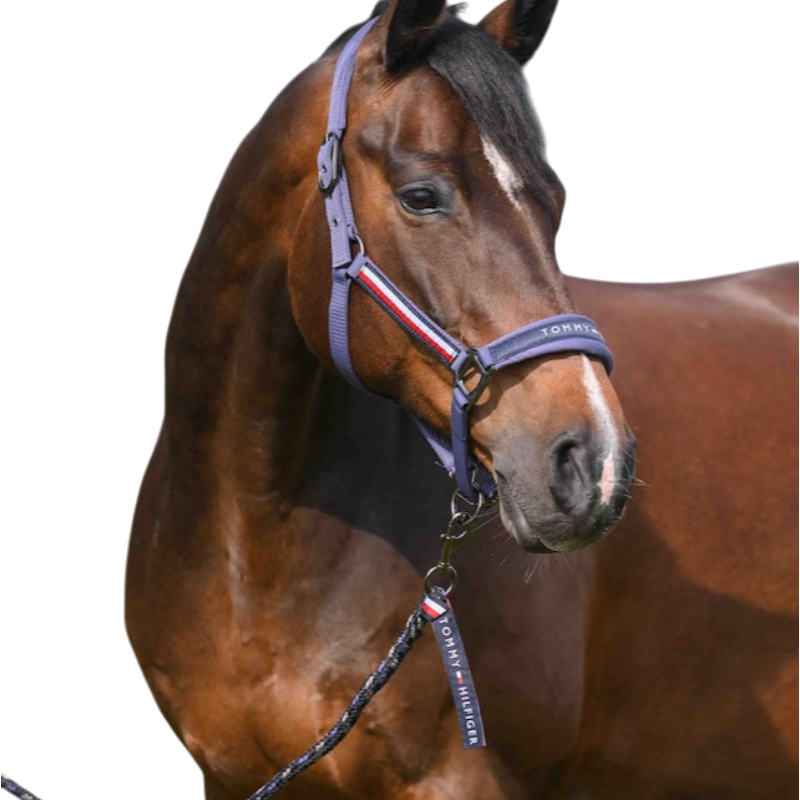 Tommy Hilfiger Equestrian - Licol et longe Yale faded indigo