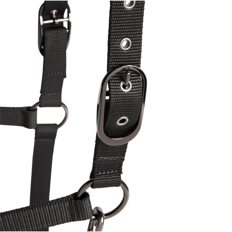 Tommy Hilfiger Equestrian - Licol avec longe Yale Shine noir