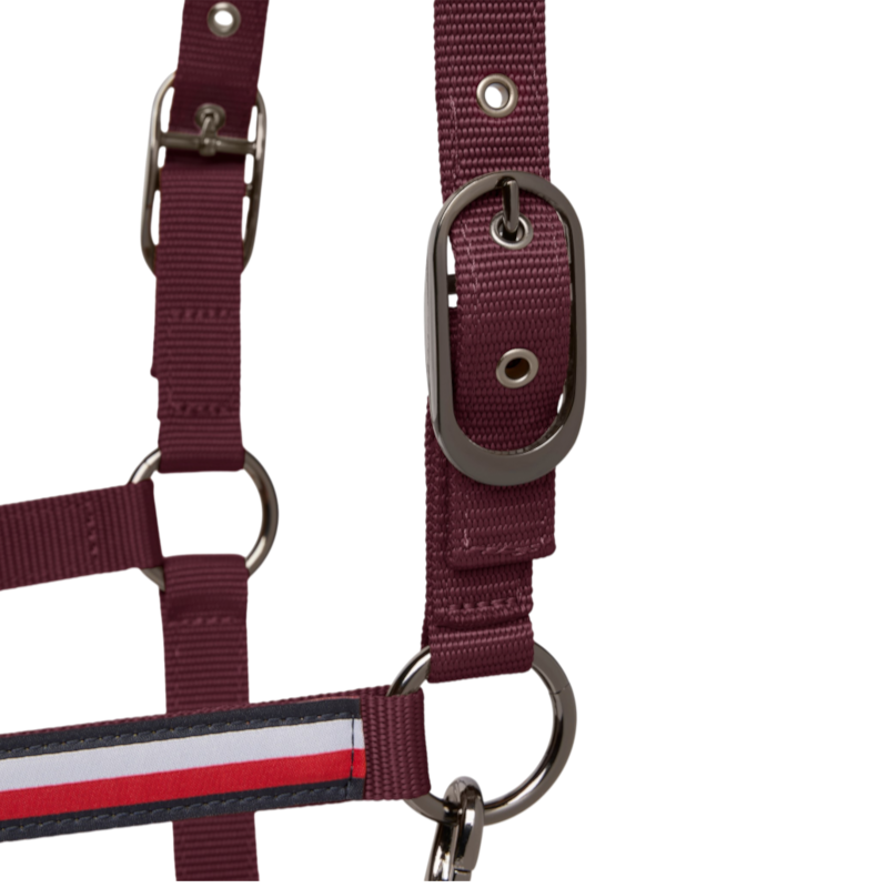 Tommy Hilfiger Equestrian - Licol et longe Yale deep burgundy