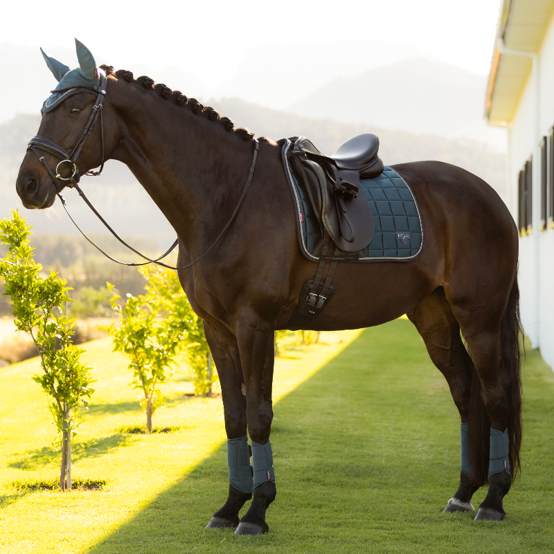 LeMieux - Tapis de dressage Loire Classic jungle | - Ohlala