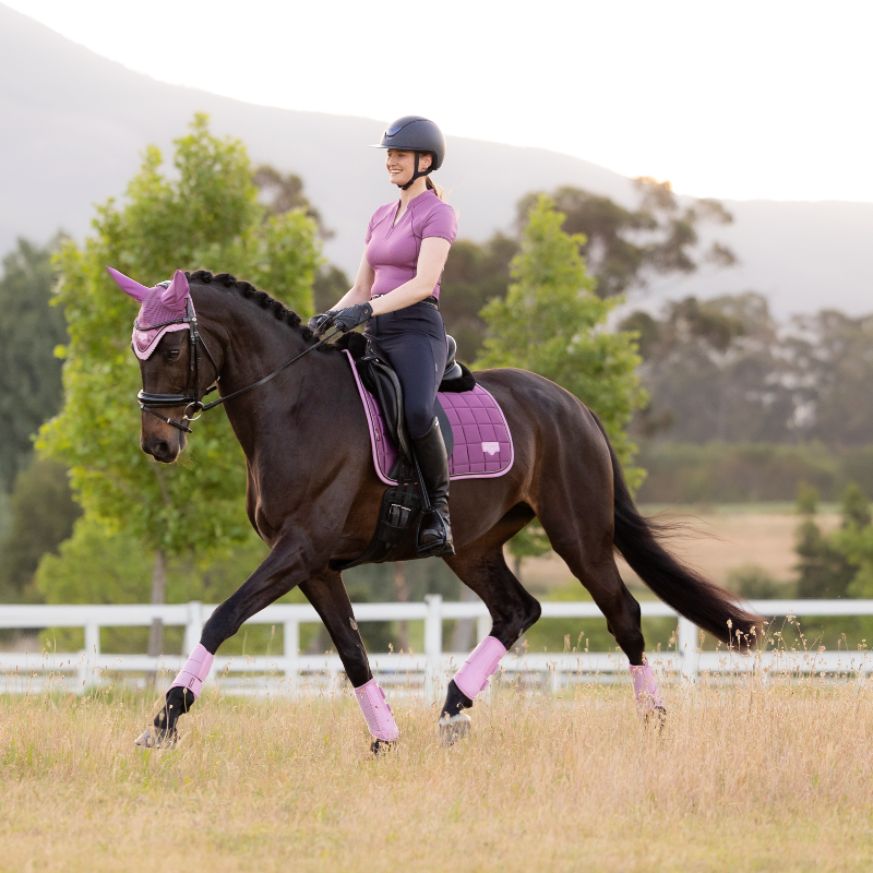 LeMieux - Tapis de dressage Loire Classic mallow | - Ohlala