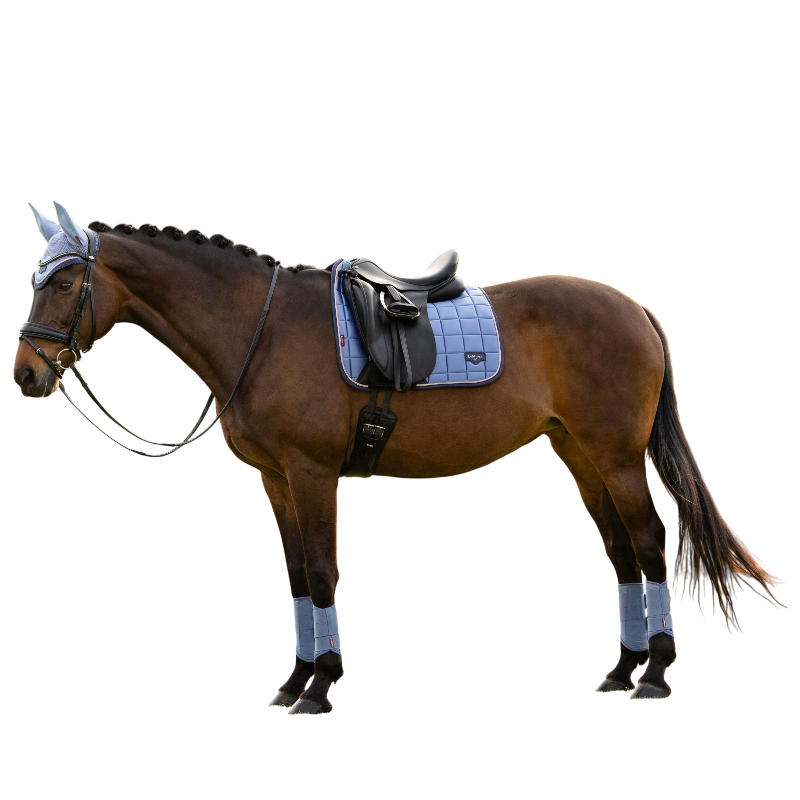 LeMieux - Tapis de dressage Loire Classic powder blue | - Ohlala