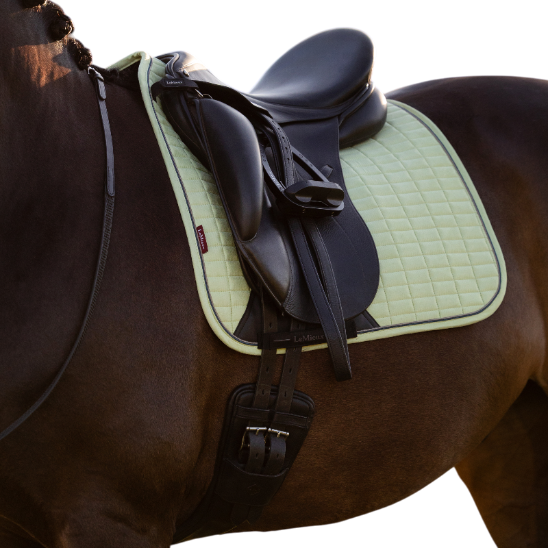 LeMieux - Dressuurpad Suede macaron | - Ohlala