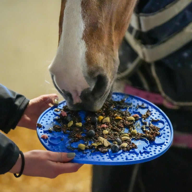 Likit - Tapis de léchage Graze maze bleu | - Ohlala