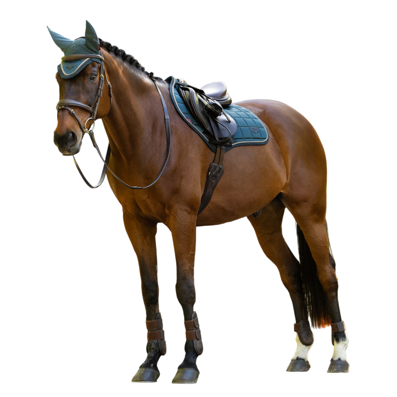 LeMieux - Tapis de selle Classic Close Contact jungle | - Ohlala