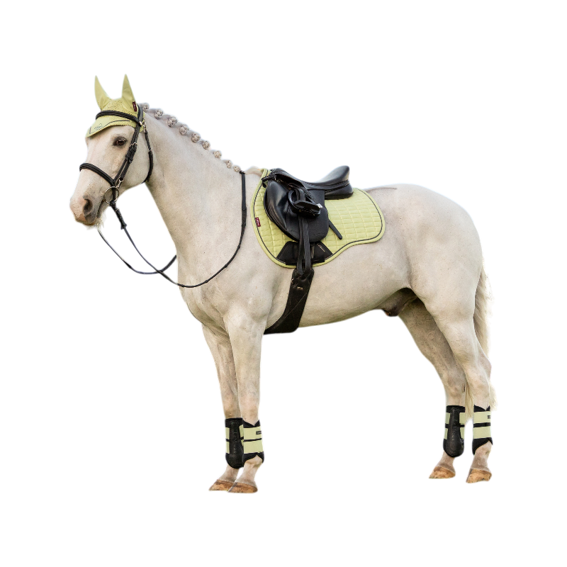 LeMieux - Tapis de selle Suede GP macaron
