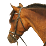 TdeT - Bridon et rênes Clincher Goya noir | - Ohlala