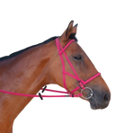 TdeT - Bridon/halster biotack fuchsia | - Ohlala