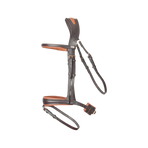 TdeT - Bridon et rênes têtière anatomique Matisse marron/tabac | - Ohlala